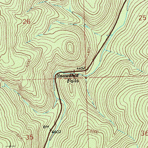 Topographic Map of Snowshoe Falls, MT