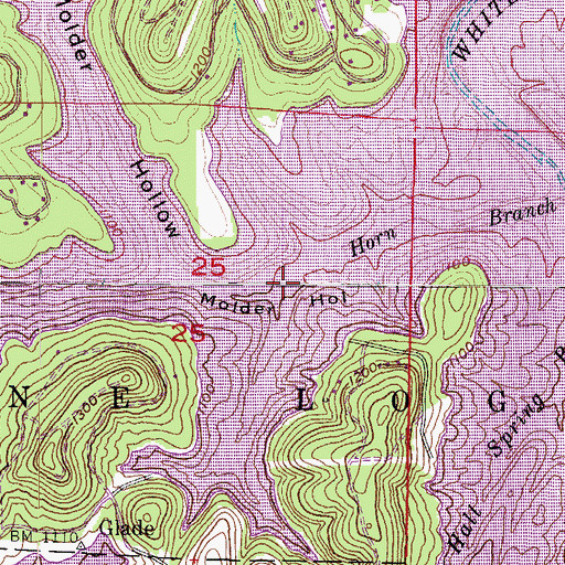 Topographic Map of Molder Hollow, AR