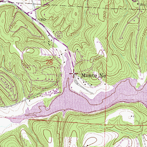 Topographic Map of Monte Ne, AR