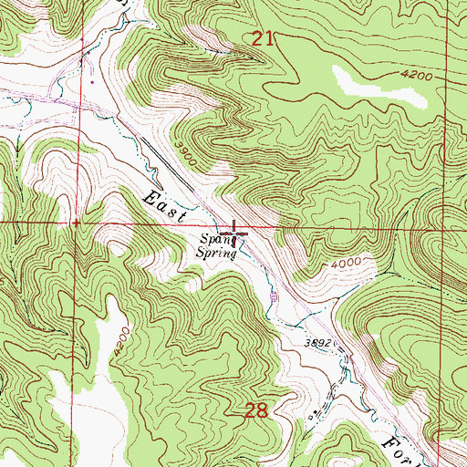Topographic Map of Spang Spring, MT