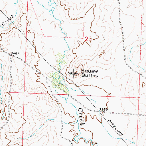 Topographic Map of Twin Peaks, MT