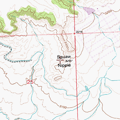 Topographic Map of Deer Point, MT