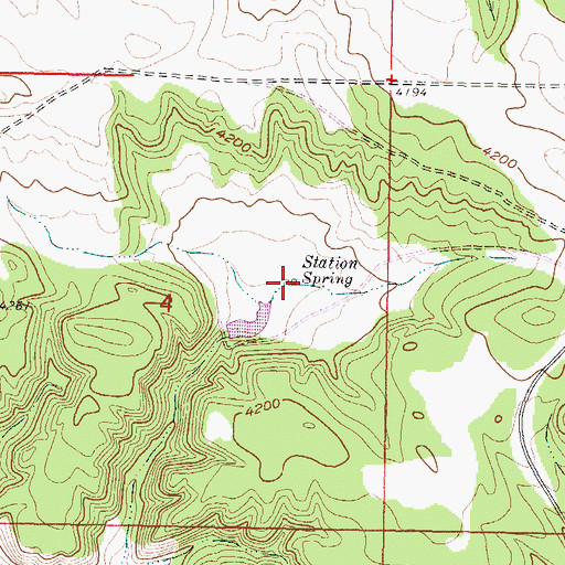Topographic Map of Station Spring, MT