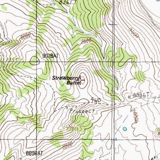 Topographic Map of Strawberry Butte, MT