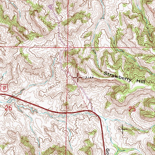 Topographic Map of Strawberry Hill, MT