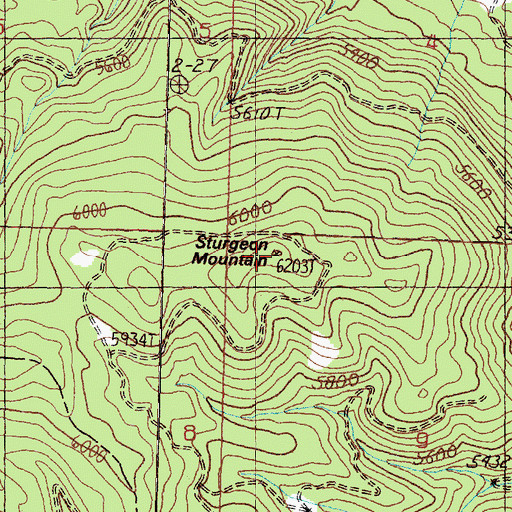 Topographic Map of Sturgeon Mountain, MT