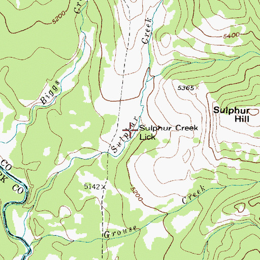 Topographic Map of Sulphur Creek Lick, MT