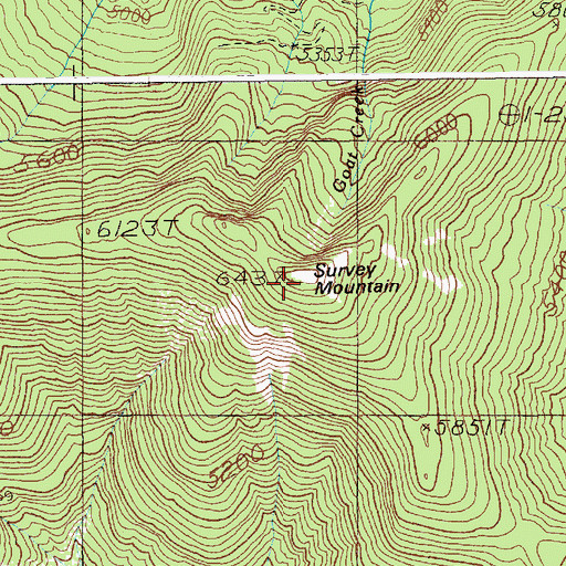 Topographic Map of Survey Mountain, MT