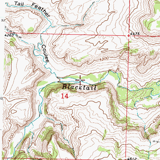 Topographic Map of Tail Feather Coulee, MT