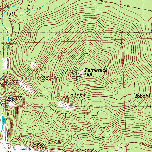 Topographic Map of Tamarack Hill, MT