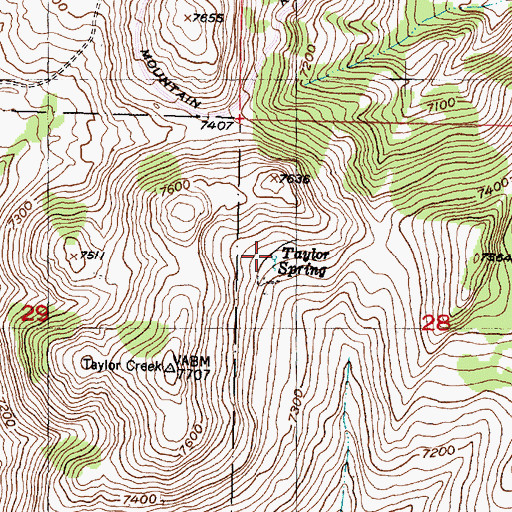 Topographic Map of Taylor Spring, MT