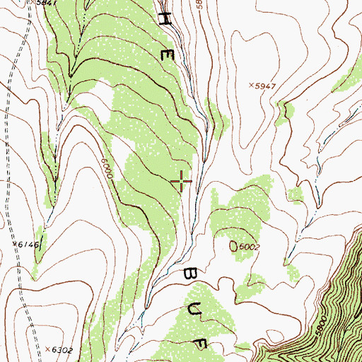 Topographic Map of The Buffalo Pasture, MT