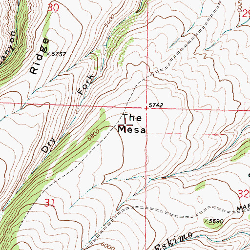 Topographic Map of The Mesa, MT
