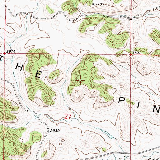 Topographic Map of The Pine Hills, MT