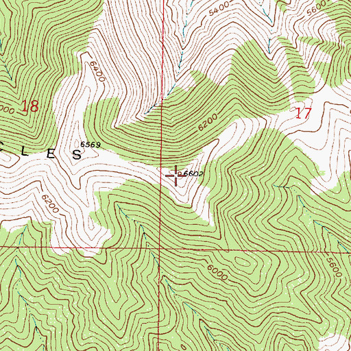 Topographic Map of The Pinnacles, MT
