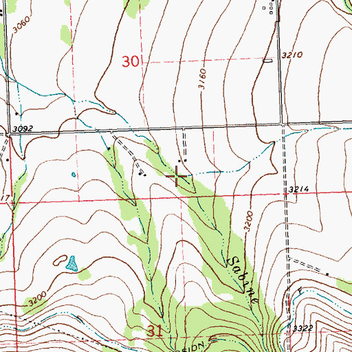 Topographic Map of Thorne Creek, MT