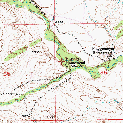 Topographic Map of Tintinger Homestead, MT