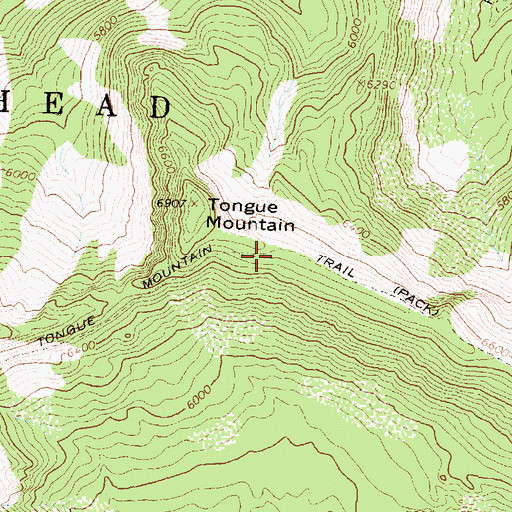Topographic Map of Tongue Mountain Trail, MT