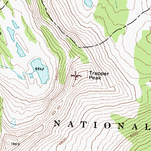 Topographic Map of Trapper Peak, MT