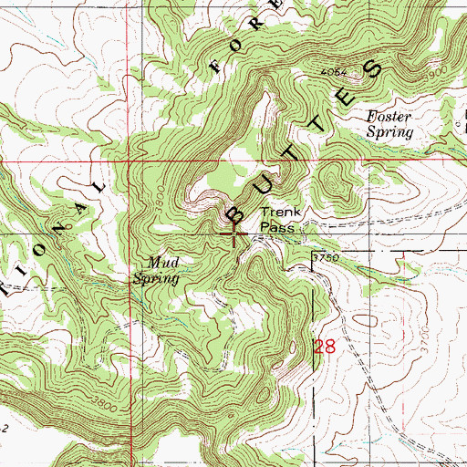 Topographic Map of Trenk Pass, MT