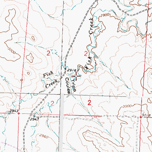 Topographic Map of Tripp Coulee, MT