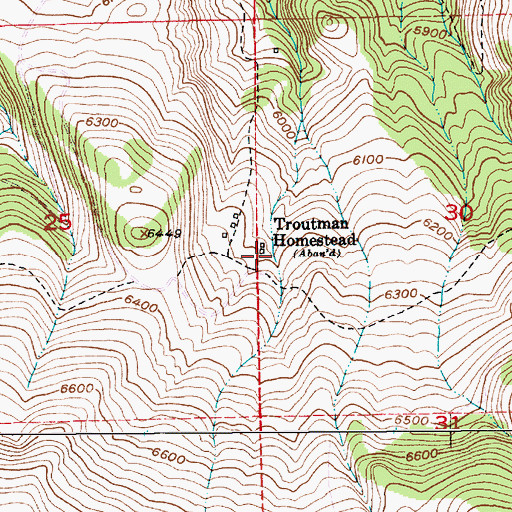 Topographic Map of Troutman Homestead, MT