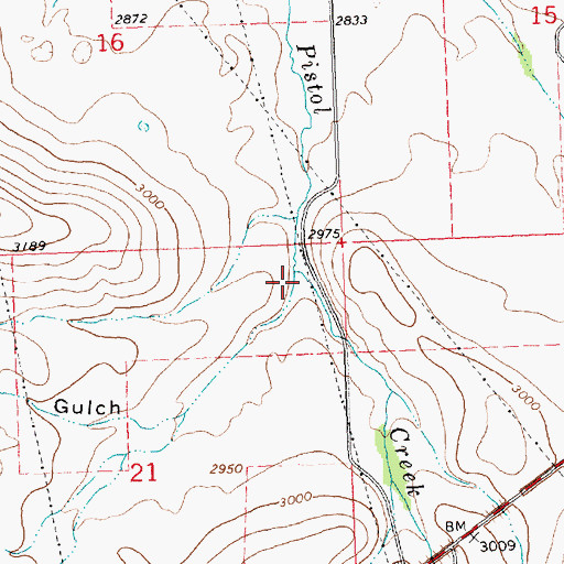 Topographic Map of Turkeywoman Gulch, MT