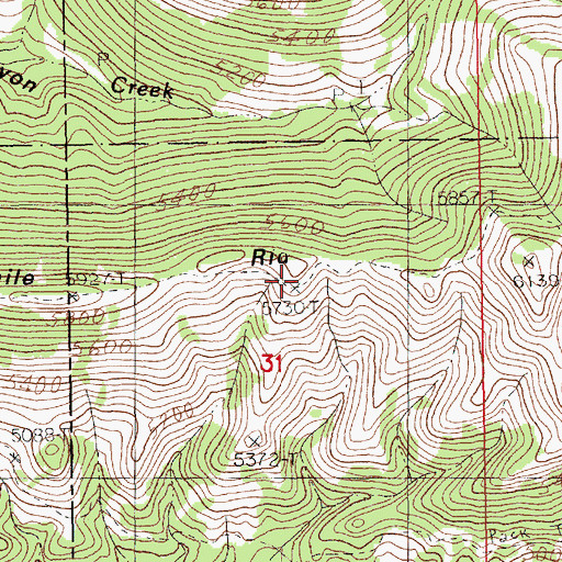Topographic Map of Twomile Ridge, MT