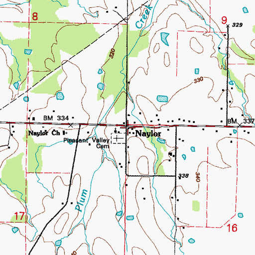 Topographic Map of Naylor, AR