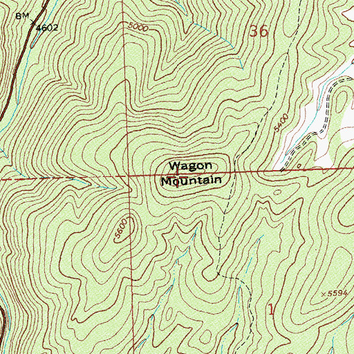 Topographic Map of Wagon Mountain, MT