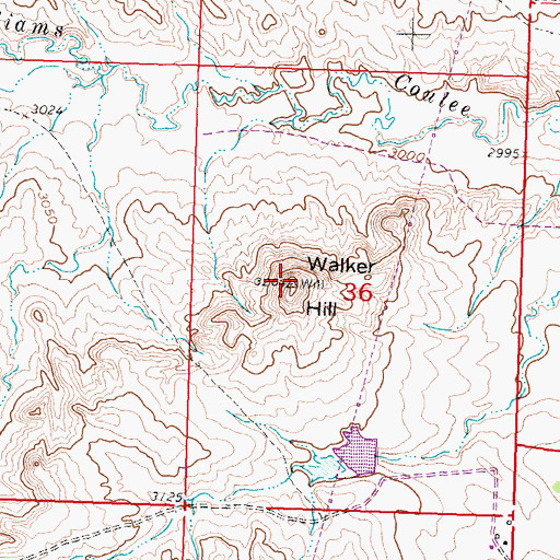 Topographic Map of Walker Hill, MT