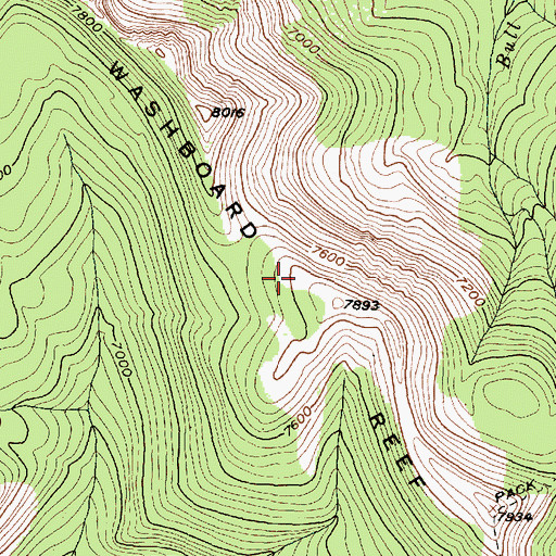 Topographic Map of Washboard Reef, MT
