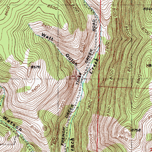 Topographic Map of Watt Gulch, MT
