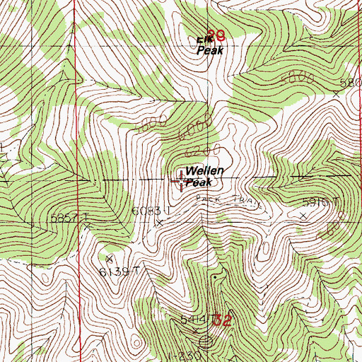 Topographic Map of Wellen Peak, MT