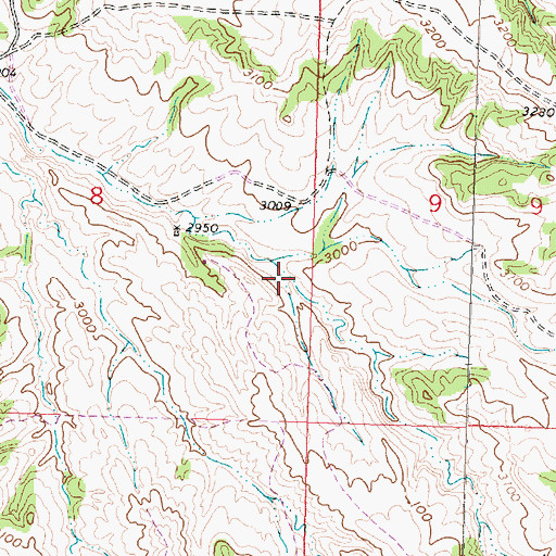 Topographic Map of West Fork Brant Coulee, MT