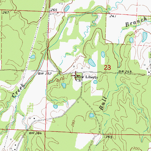 Topographic Map of New Liberty Missionary Baptist Church, AR