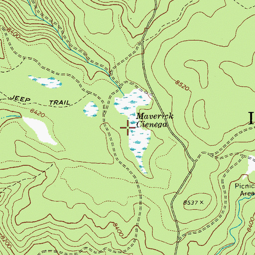 Topographic Map of Maverick Cienega, AZ