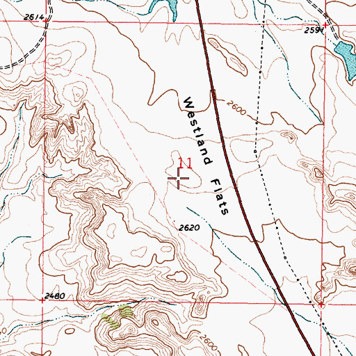 Topographic Map of Westland Flats, MT