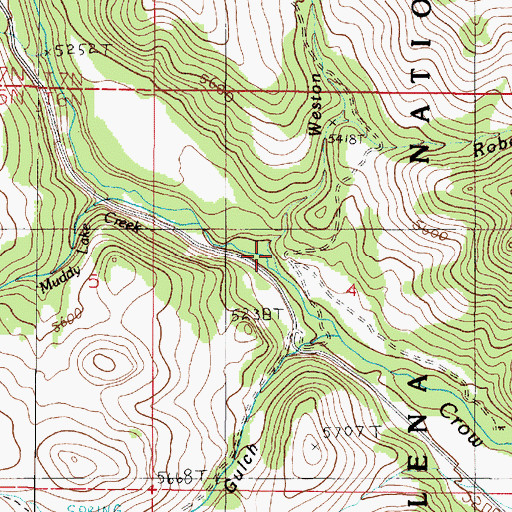 Topographic Map of Weston Creek, MT