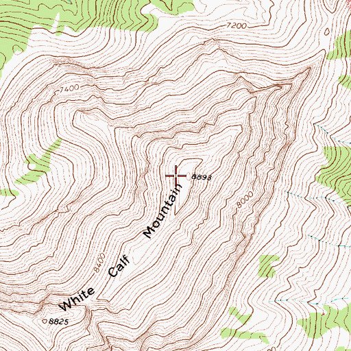 Topographic Map of White Calf Mountain, MT