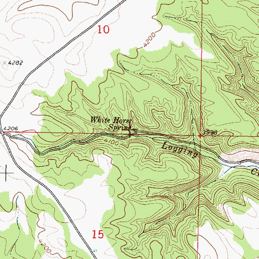 Topographic Map of White Horse Spring, MT