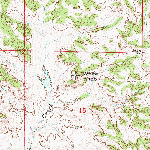 Topographic Map of White Knob, MT