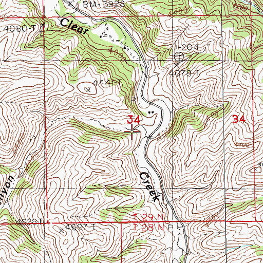 Topographic Map of White Pine Canyon, MT