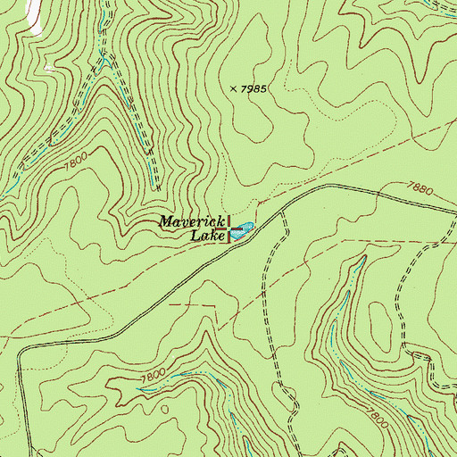 Topographic Map of Maverick Lake, AZ