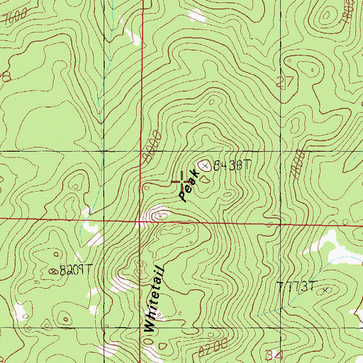 Topographic Map of Whitetail Peak, MT