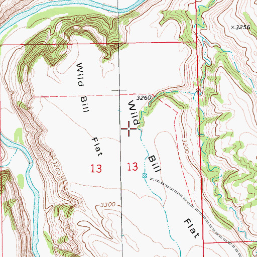 Topographic Map of Wild Bill Flat, MT