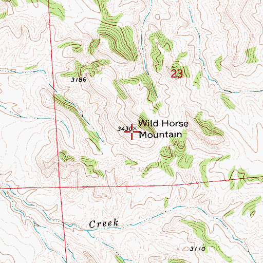 Topographic Map of Wild Horse Mountain, MT