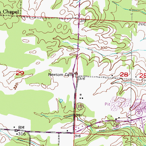 Topographic Map of Newsom Cemetery, AR
