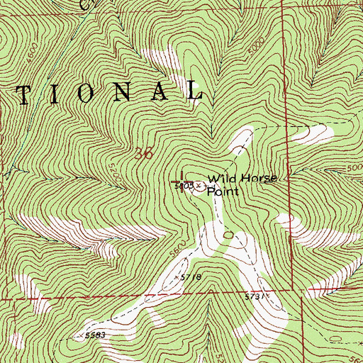 Topographic Map of Wild Horse Point, MT
