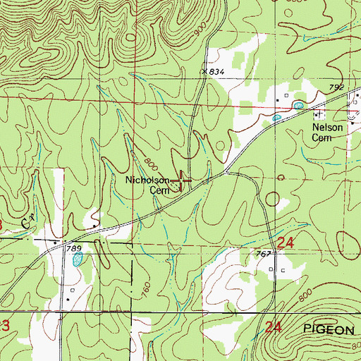 Topographic Map of Nicholson Cemetery, AR